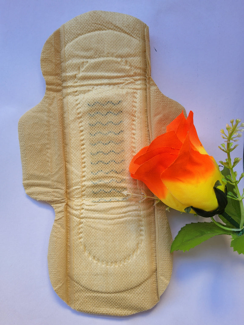 Penmani Bamboo Sanitary pads (L)240mm - 10 Piece at just Rs. 75